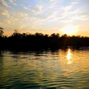 sundarban