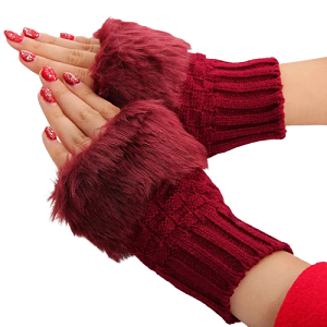 Ladies hand gloves for winter