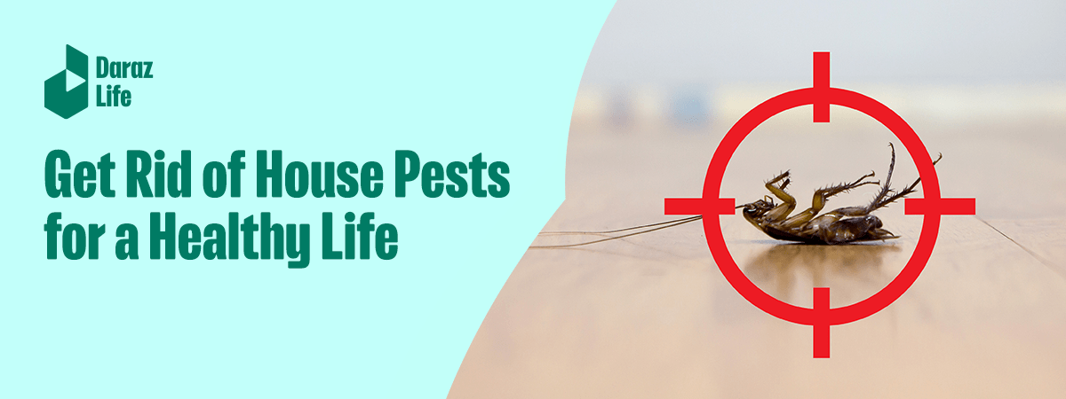 Best tips to prevent pest
