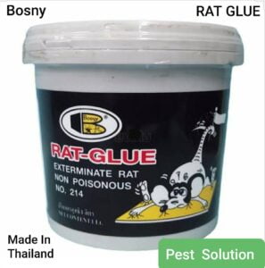 Best rodent control glue