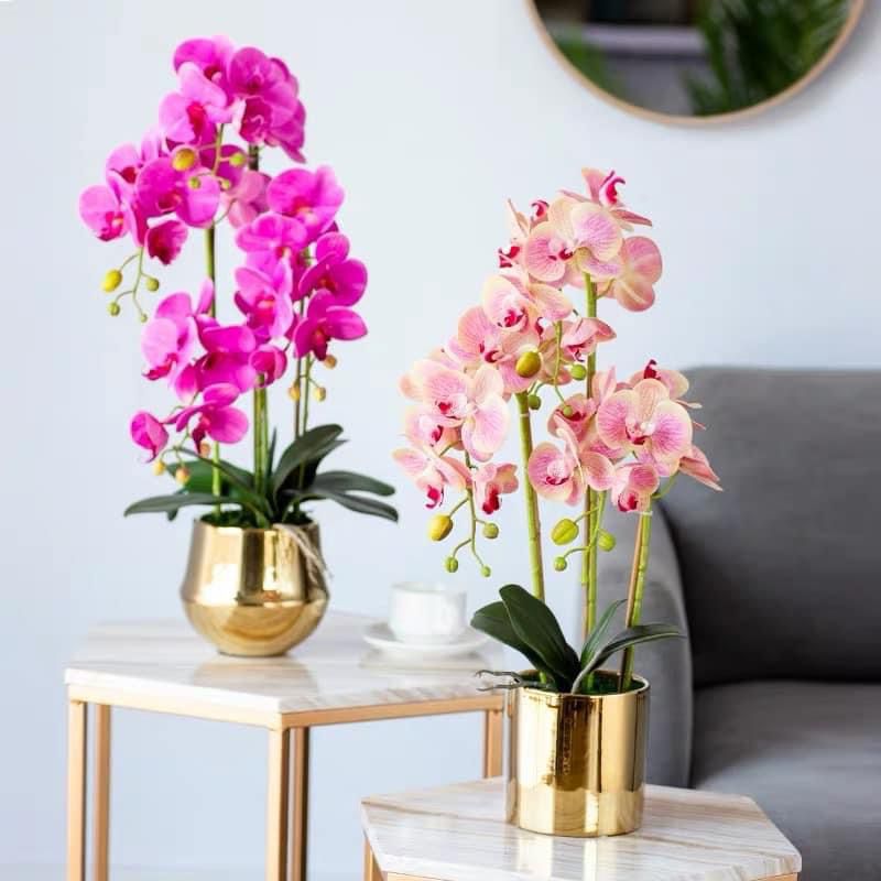 Flower Vase Daraz Life