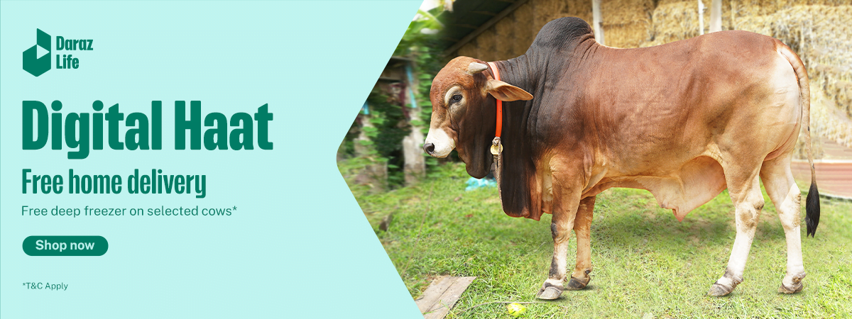 Best budget qurbani cow online in bangladesh