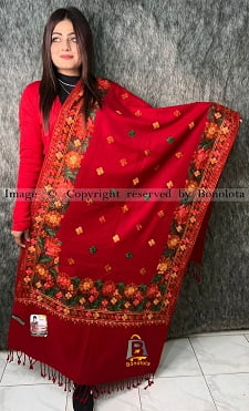 New fashionable kashmiri pashmina shawl for girls 
