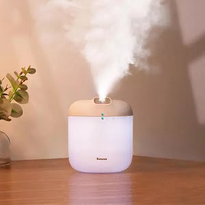 Humidifiers for hair care in winter