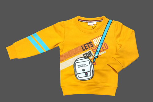 Exclusive Terry Fabrics Sweatshirts for Boys